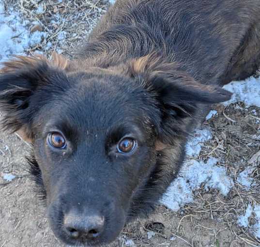 Photo of Trucker