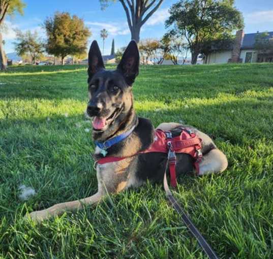Photo of Coco