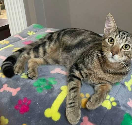 Photo of Clyde