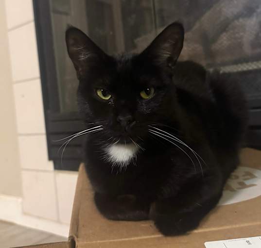 Photo of Stormy