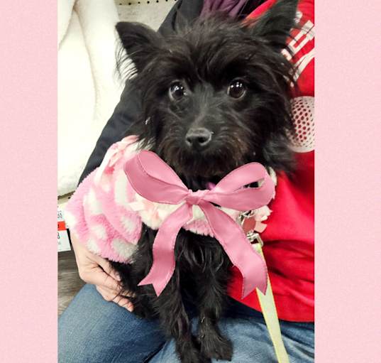 Photo of Winnie