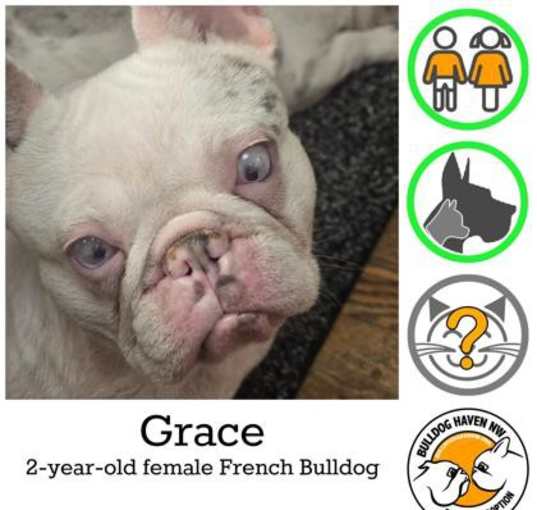 Photo of Grace