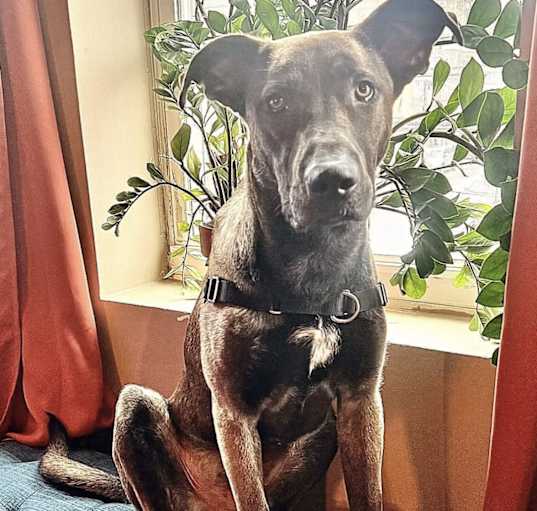 Photo of Bram