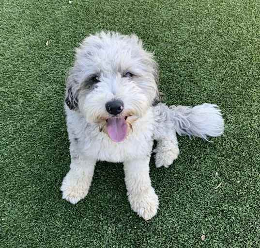 Photo of Atlas
