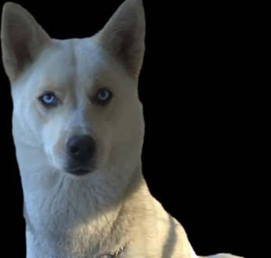 Photo of Holly