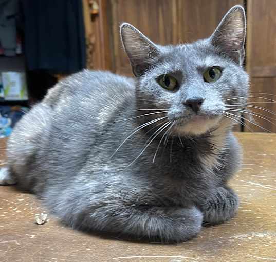 Photo of Lovey