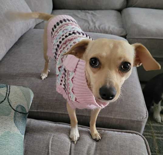 Photo of Lila