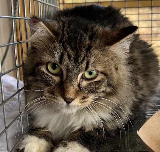 Photo of Windy