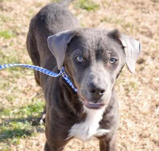 Photo of Storm