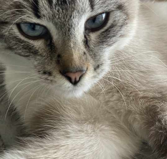 Photo of Jack
