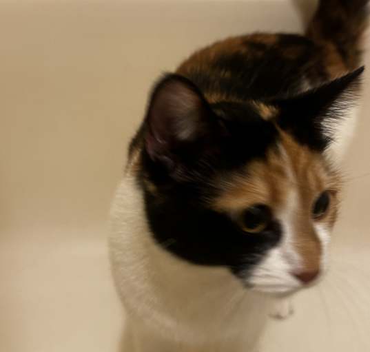 Photo of Ginny