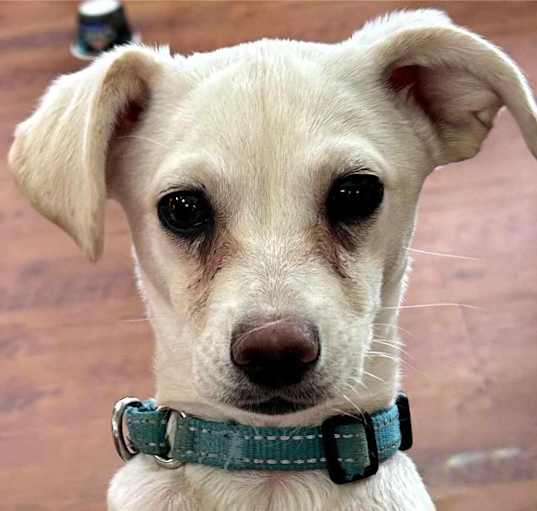 Photo of Elsa