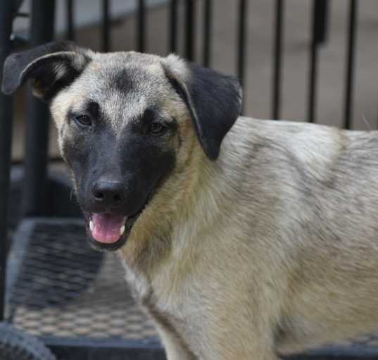 Photo of Skye
