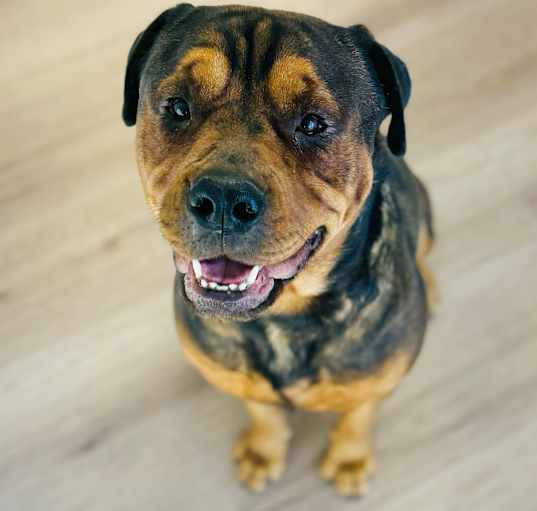 Photo of Eddy