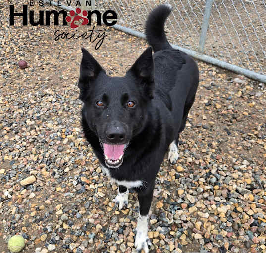 Photo of Lucy
