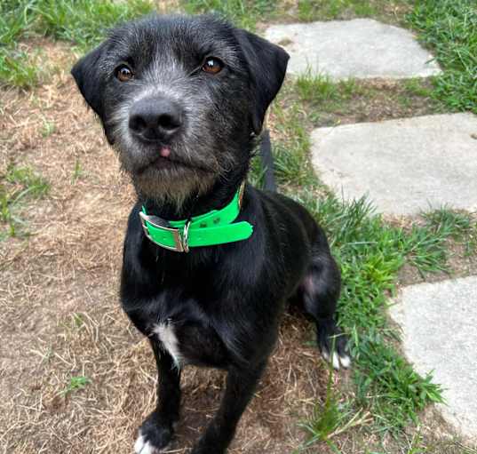 Photo of Murphy