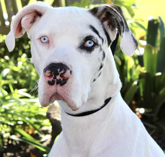 Photo of Turbo