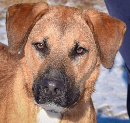 Photo of Waylon
