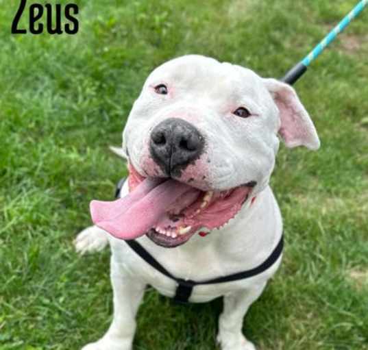 Photo of Zeus