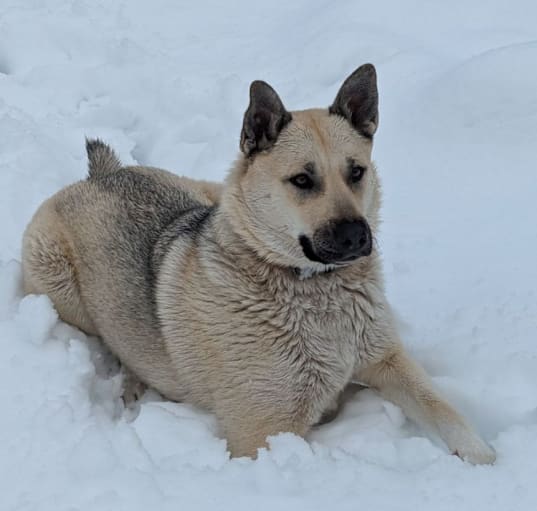Photo of Tula