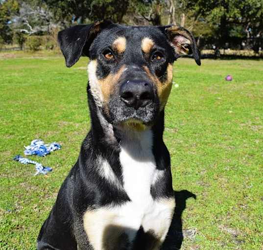 Photo of Ransom