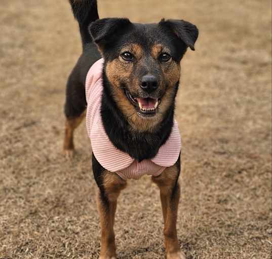 Photo of Jenny