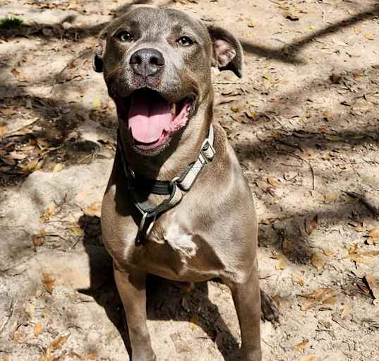 Photo of Zeus the Zealous