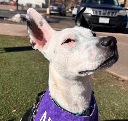 Photo of NOVA