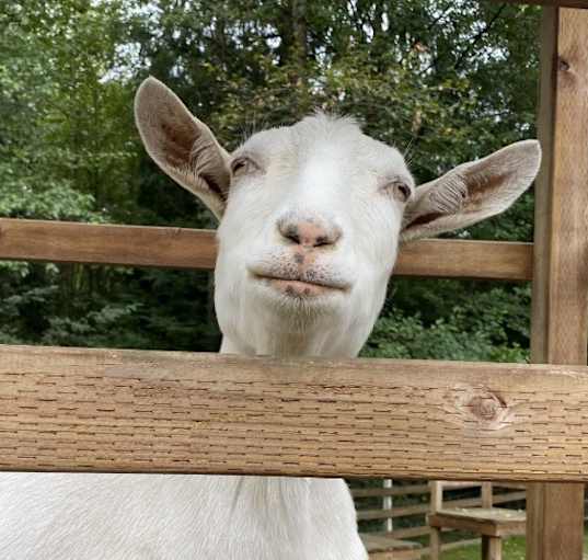 Photo of Victor