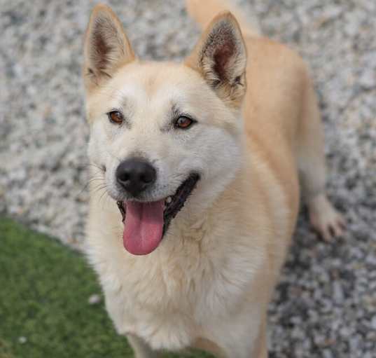 Photo of Max