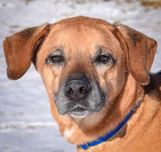 Photo of Harley
