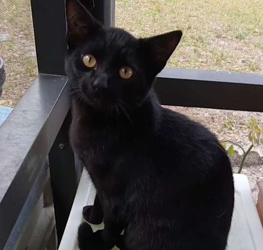 Photo of Sebastian
