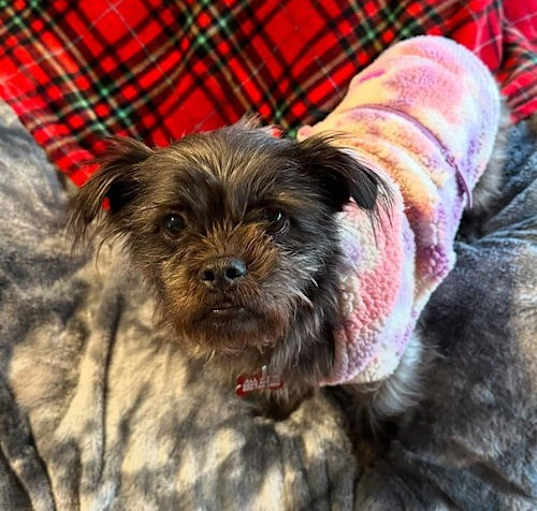 Photo of Chloe