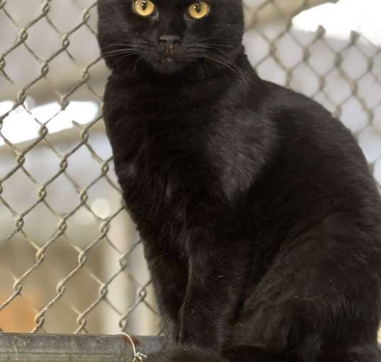 Photo of Zennie