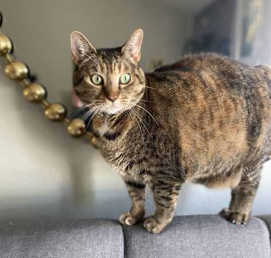 Photo of Mimi