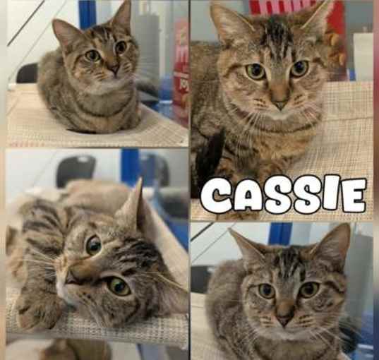 Photo of Cassie