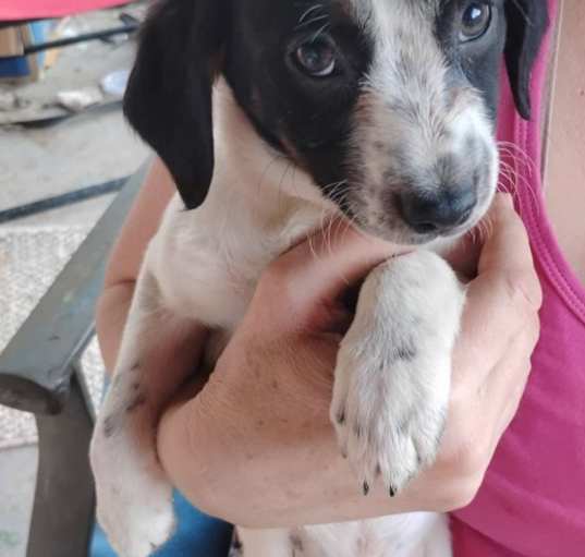 Photo of Cocomelon