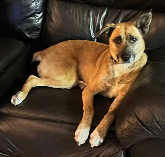 Photo of Bagel