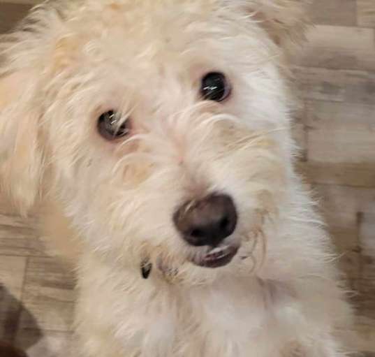 Photo of HUGO
