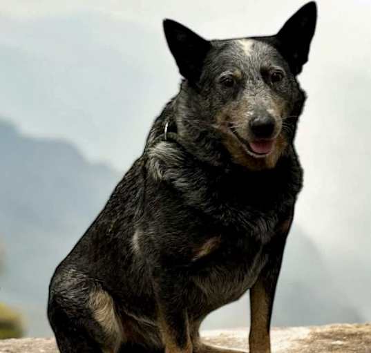Photo of Frye