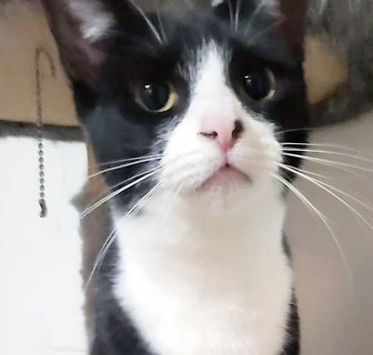 Photo of Jolene