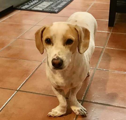 Photo of DAISY