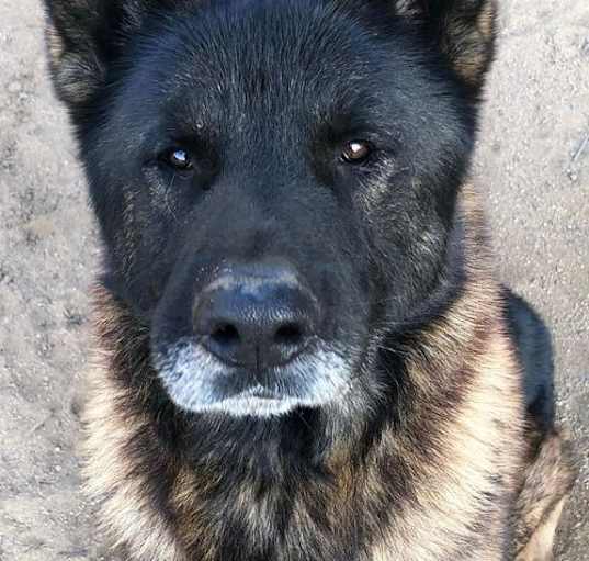 Photo of Bronx