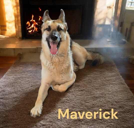 Photo of Maverick II