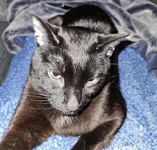 Photo of Jack