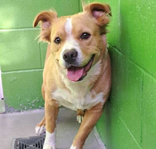 Photo of ROSALITA