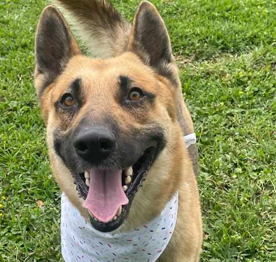 Photo of Ghost