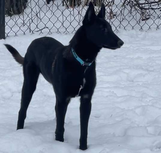 Photo of bodie