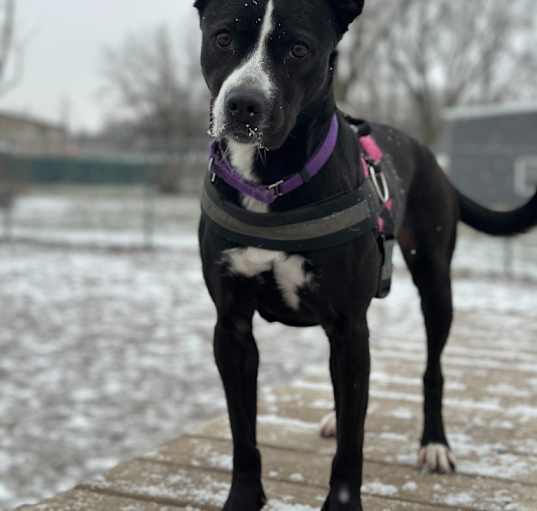 Photo of Selene