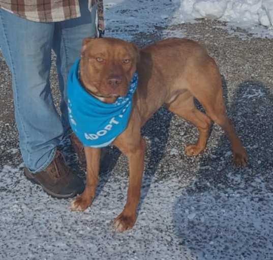 Photo of Axle